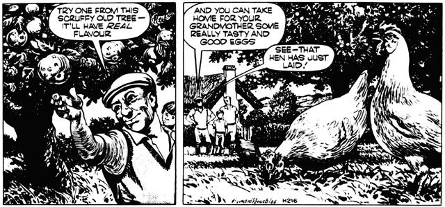 The apple that Ted picks for Peter is not a model of perfection. Nature has had its way with it and has put on it the marks that come from attacks of insects and other things—but has also put into it the sweet taste that apples should have. The tree it comes from is old and gnarled, and is part of the garden that Ted keeps so that he and his family can have food they can enjoy. "Anyway," Ted says, "the insects wouldn't go for those market apples. They like something with a bit of taste too." Ted has hens running under the fruit trees. "None of your battery eggs for us," he says, "we like good natural eggs too." That works out two ways—they have their free-range eggs, and the hens' droppings keep the trees fertilized.